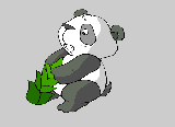 FLASH动画
